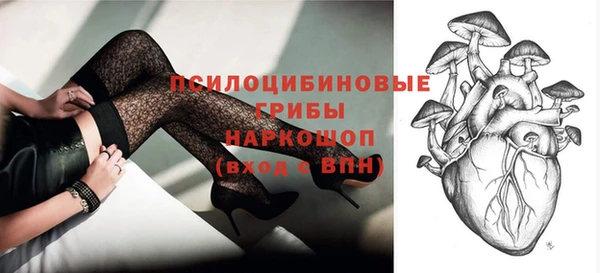 не бодяженный Няндома