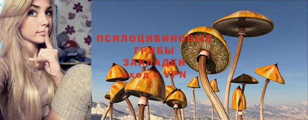 apvp Нязепетровск