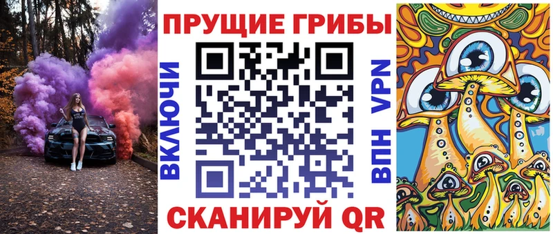 Купить  Каменск-Уральский  Псилоцибиновые грибы Psilocybe 